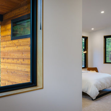 Pine Forest House
