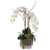 Real Touch White Orchid and Succulent Arrangement