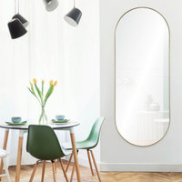 Marius Decorative Wall Mirror 24" x 60", Medium - Contemporary - Wall ...