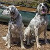 Bonnie Schwartz's photo