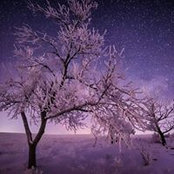Mary Williams's photo