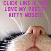Tasha Mashburn's photo