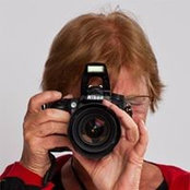 Foto von Heidi Bendele