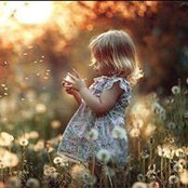 Colene Levie's photo
