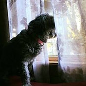 Deb Susnik's photo