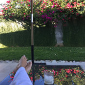 Foto von carlotabelli