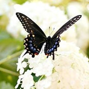 Ann Zuleger's photo