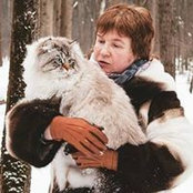 Елена Гребенникова's photo