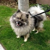 Rowena Mansfield's photo