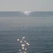 Patricia Mills's photo