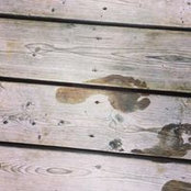 Elodie Nadeau's photo