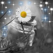 Glenna Wright's photo