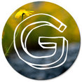 Gravel To Gold, Inc.'s profile photo