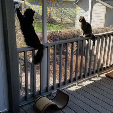 Comfy Catio (Cat Patio / Deck)