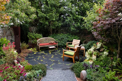 Photo of a contemporary backyard landscaping in San Francisco.