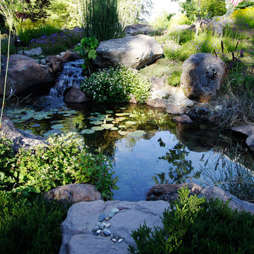 Water Features