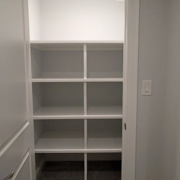 Belmont basement conversion