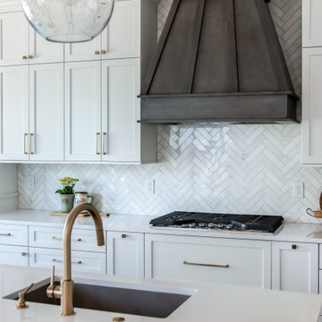 Highlands Ranch Sleek Transitional Kitchen
