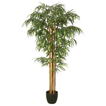 6' Bamboo Tree W/Pot-Green