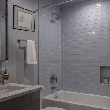 New Contemporary Remodel