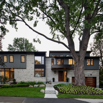 Modern Oasis