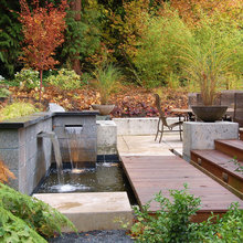 Backyard Pond