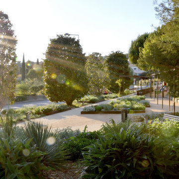 Jardin méditerranéen