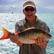 Kim McLean's photo