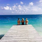 Sam Zappolo's photo