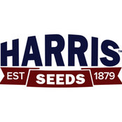 Harris Seeds's photo