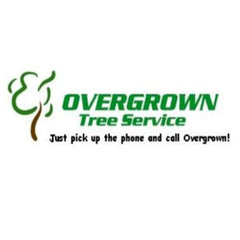 Overgrown Tree Service
