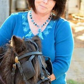 Photo de Wayne-Sherry Weeks