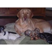 Mary Herman's photo