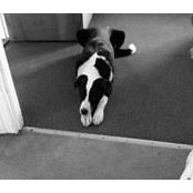 Deborah Trouse's photo