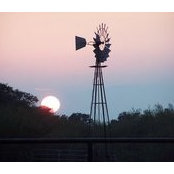 Foto von Cindy Holcomb