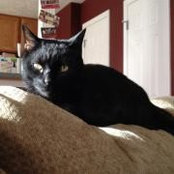Haley Boggs's photo