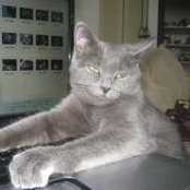 Brooke Williams's photo