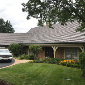 DaVinci Bellaforte Shake - Northbrook IL