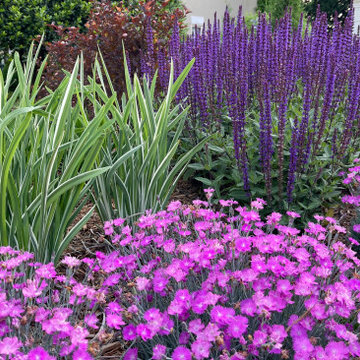Lakeside Color Garden