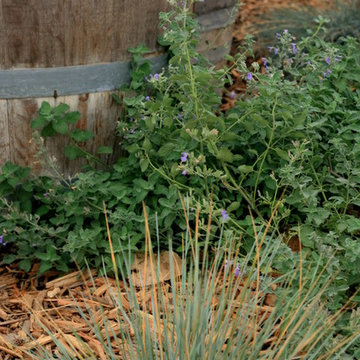 Santa Ynez Organic Ranch