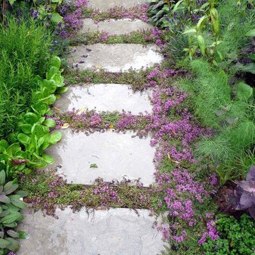 Aménagement de jardins