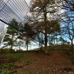 Suspended Tree-top Walkway, 34m tree-to-tree - Garden Products