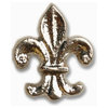Fleur Di Lis Push Pins, Antique Brass, Oil Rubbed Bronze