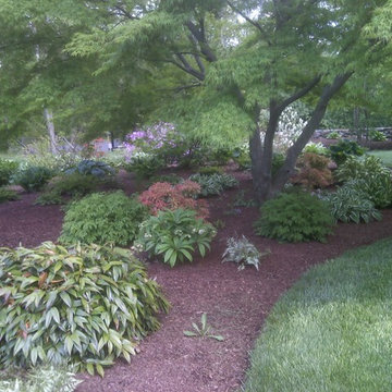 Shade Garden (low maintenance)