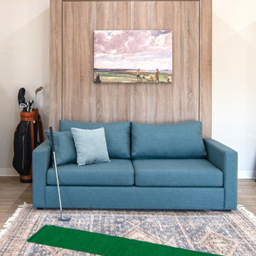 SOFA AND MURPHY BED