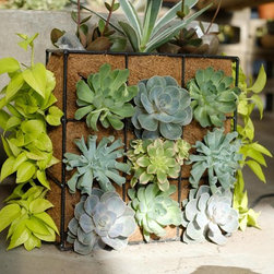 Spring 2018 - Outdoor Pots And Planters