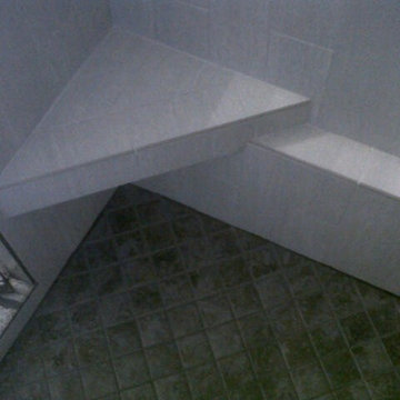 Potomac Falls Master Bathroom