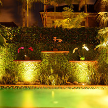 cher_greenleaf's Ideas