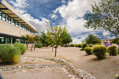 Example of an urban home design design in Albuquerque