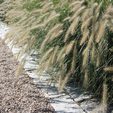Coastal Landscape